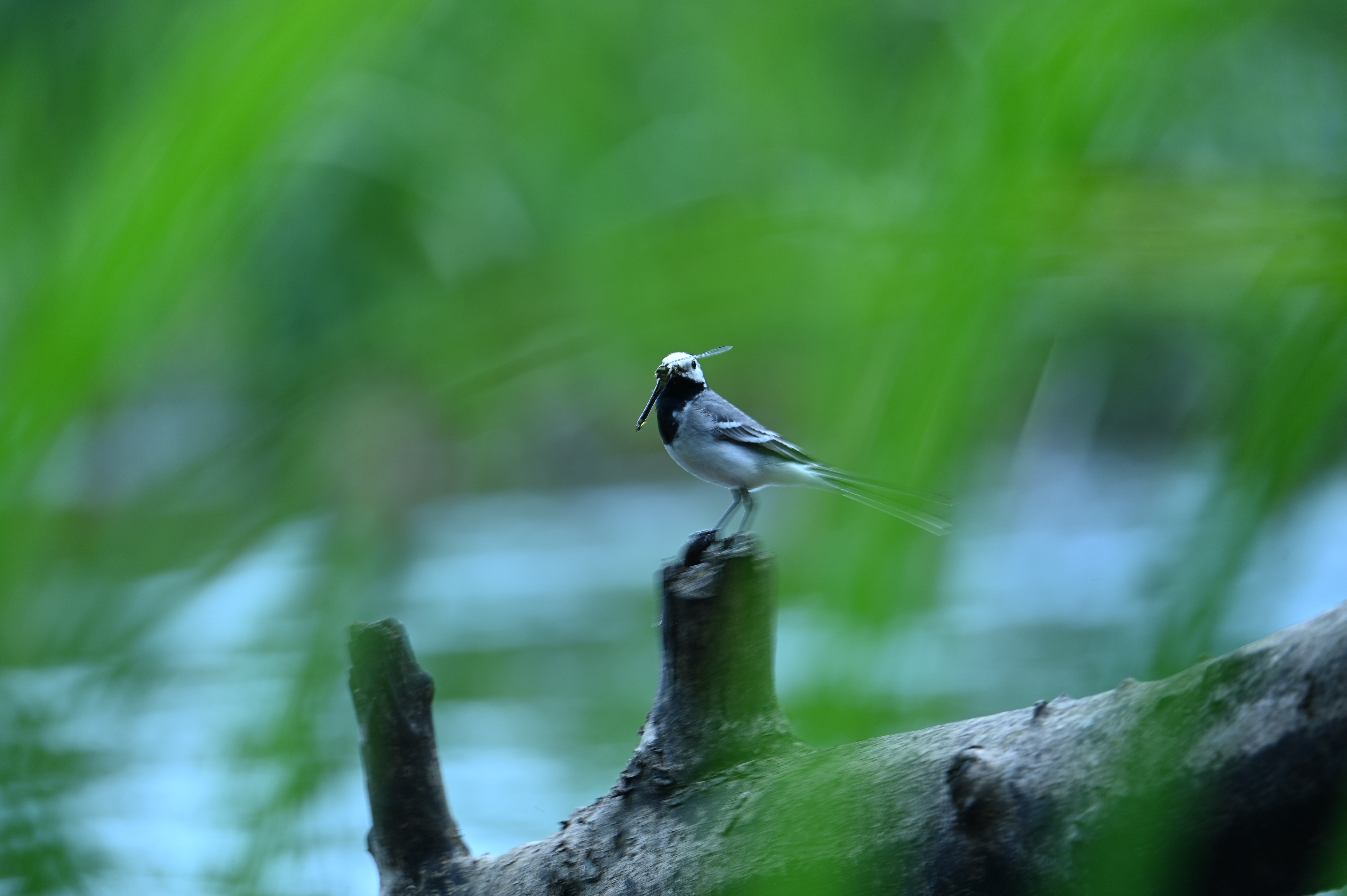 2025/07/09-14 - trip/DSC_0437.JPG